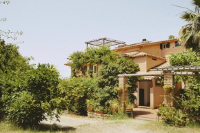 Agroturistica Villa Mantineo Capo Vaticano